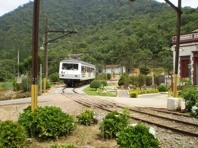 Bosque do Zé Franco