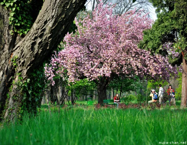 Botanical Garden