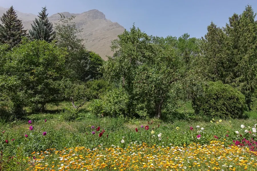 Botanical Garden