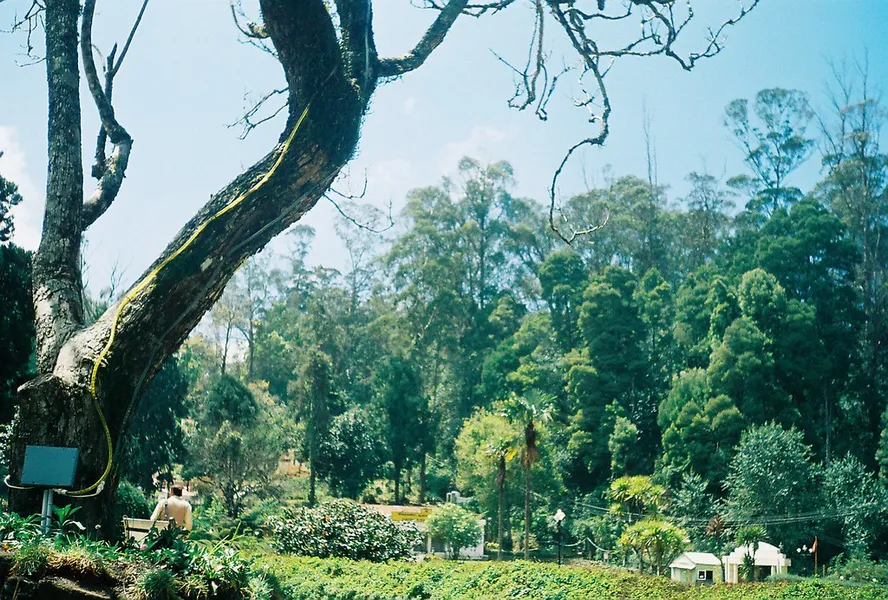 Botanical Garden