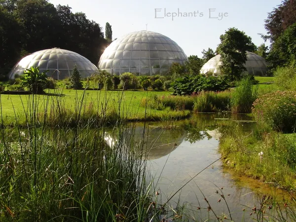 Botanical Garden