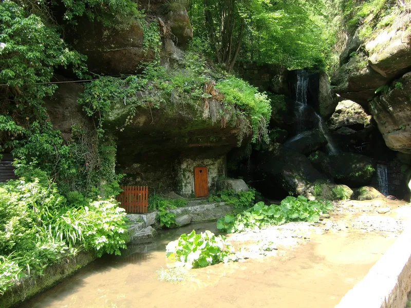 Botanical Garden Bad Schandau