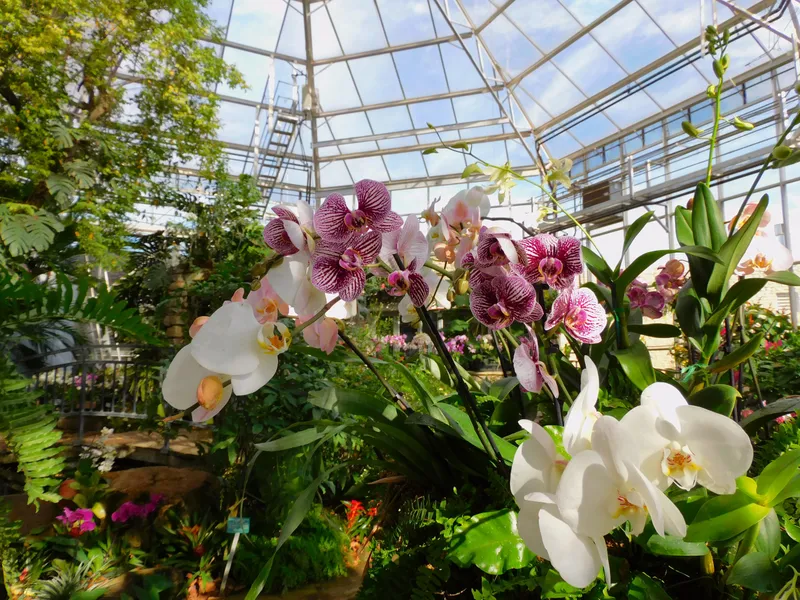 Botanical Garden Faustino Miranda