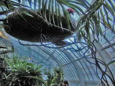 Botanical Garden Jena