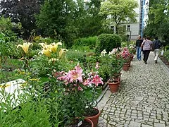 Botanical Garden Tábor