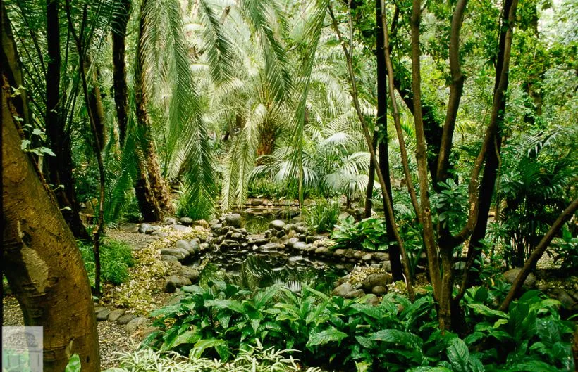 Botanical Garden-Historical La Concepción