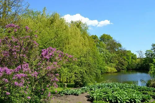 Botanical Gardens Utrecht
