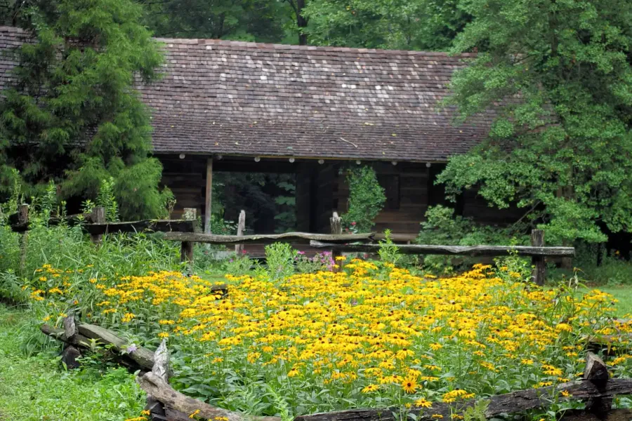 Botanical Gardens at Asheville