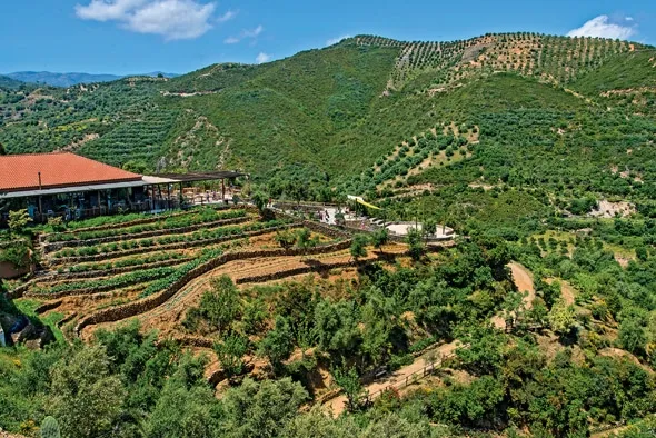 Botanical Park and Gardens of Crete