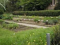 Botanischer Garten Marburg