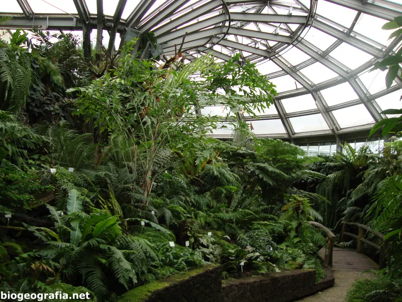 Botanischer Garten Osnabrück