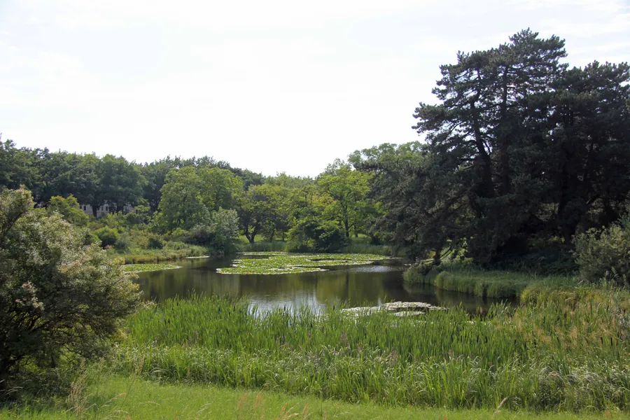 Botanischer Garten Würzburg