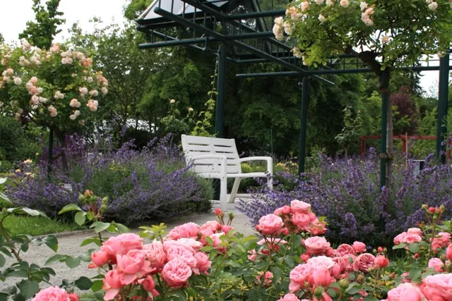 Botanischer Garten Wilhelmshaven (Botanical Garden)