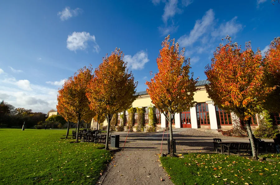 Botaniska Trädgården