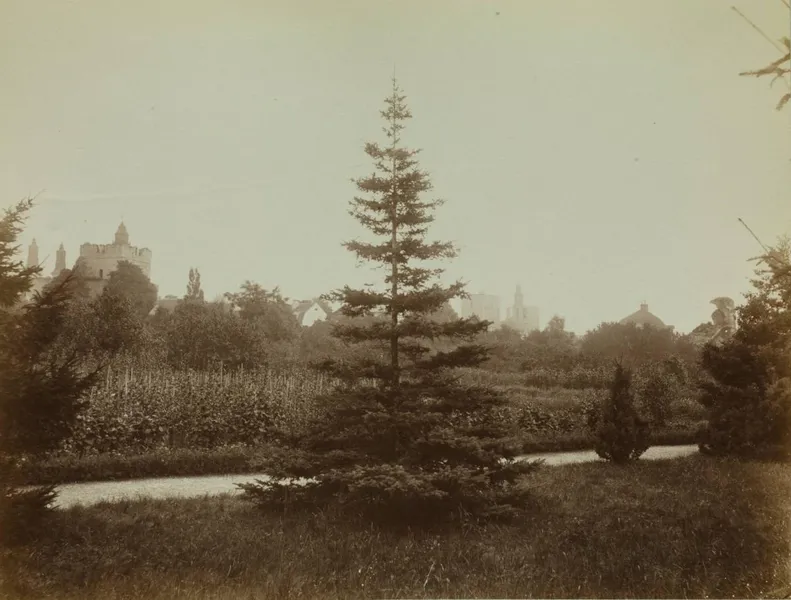 Botaniska Trädgården