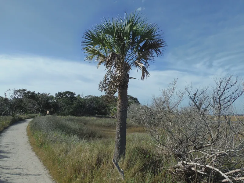 Botany Bay Plantation Heritage Preserve/Wildlife Management Area