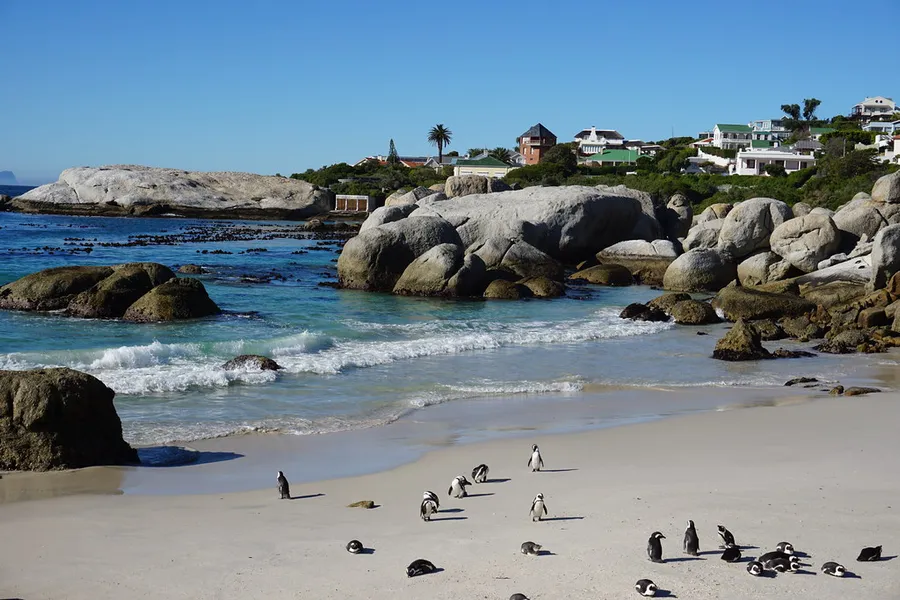 Boulders Beach