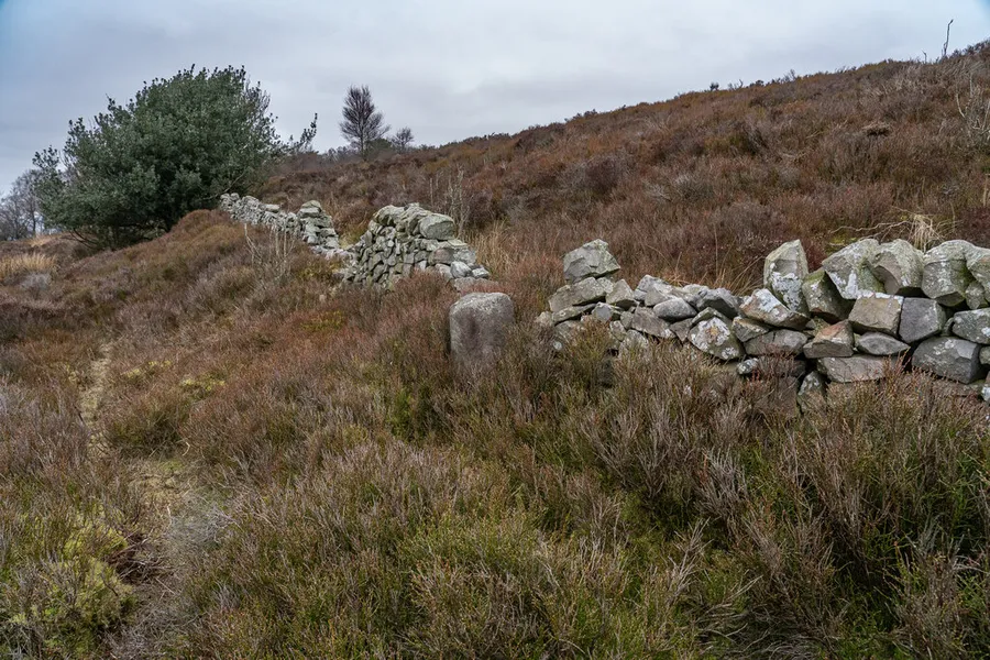 Boundary Stone Walk