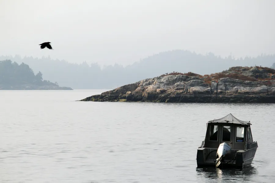 Bowen Island Sea Kayaking