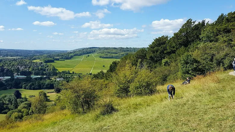 Box Hill Hike