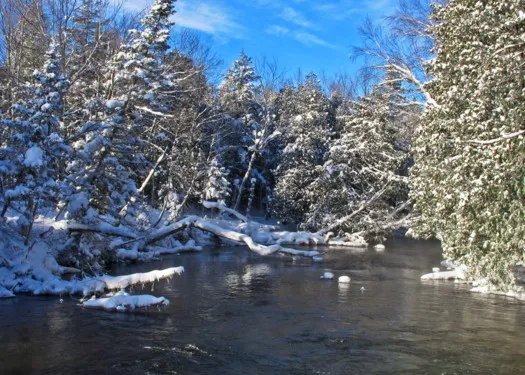 Boyne River Nature Preserve