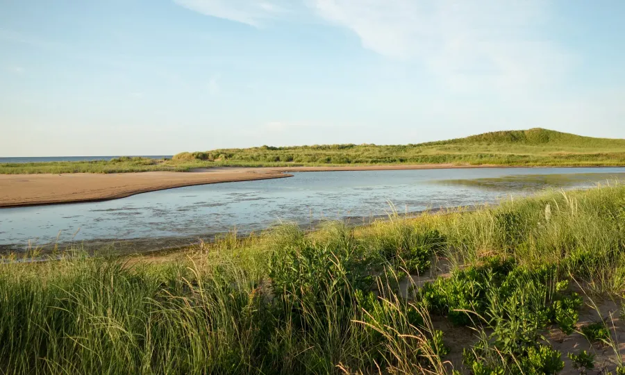 Brackley Beach