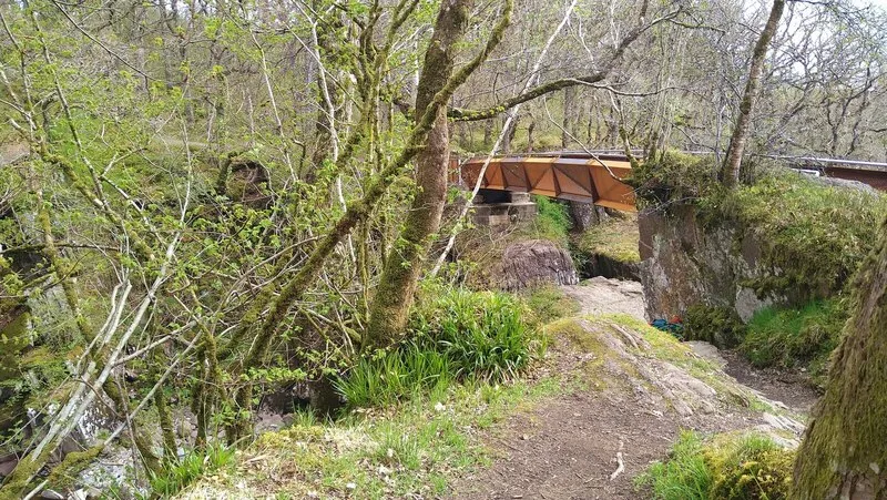Bracklinn Falls Bridge & Callander Crags Trail