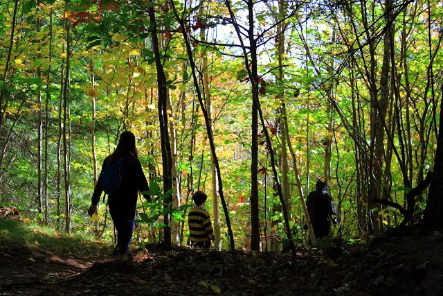 Bradbury Mountain State Park