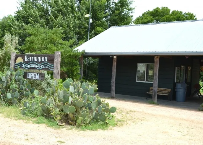 Brazos Drive-In Theatre