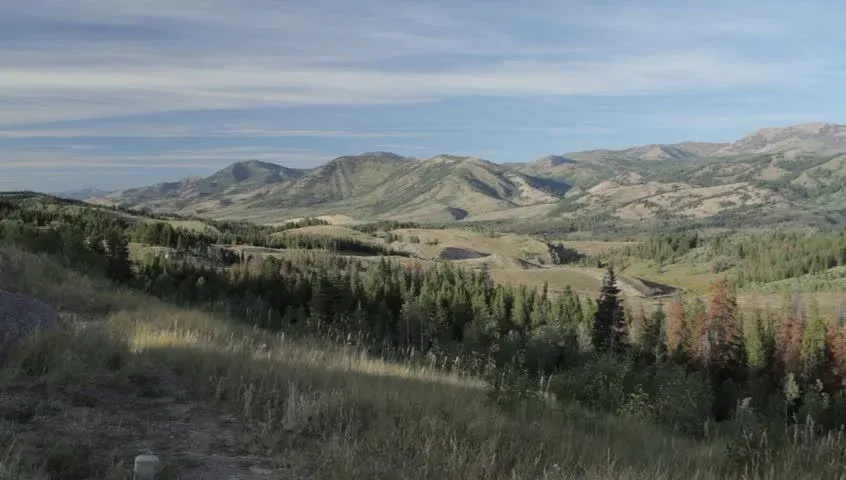 Bridger-Teton National Forest