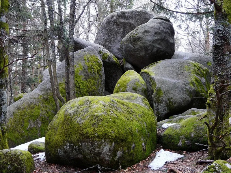Bridgestone Stone Forest