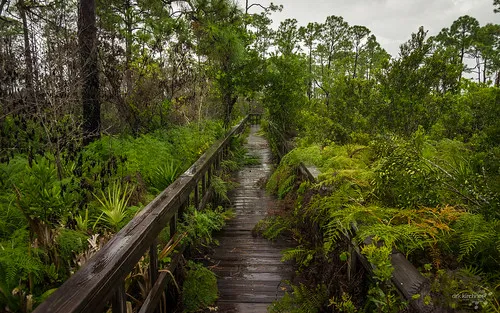 Briggs Nature Center