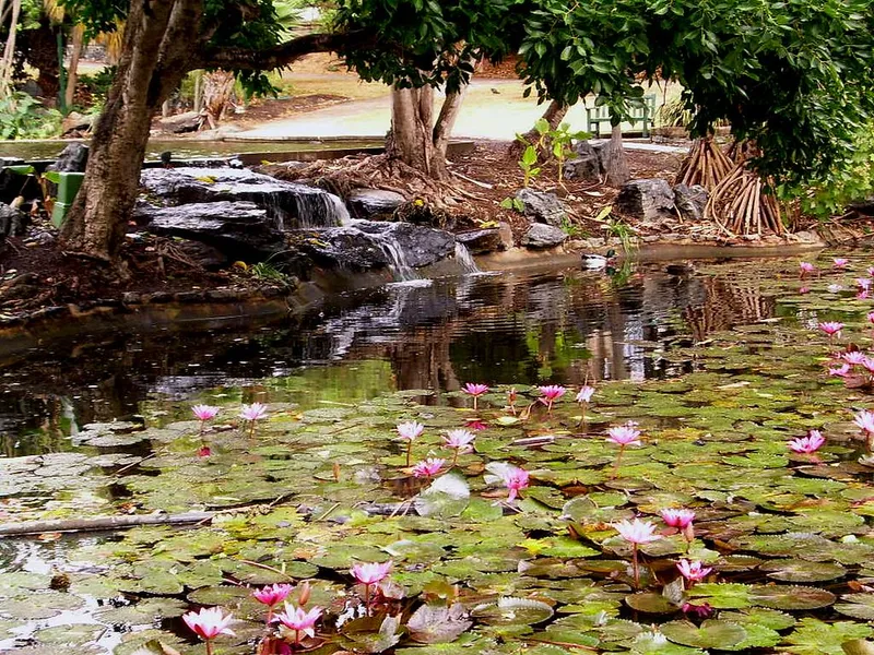 Brisbane Botanic Gardens