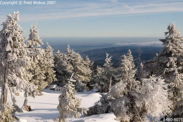Brocken
