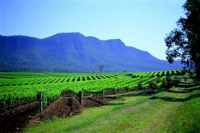Broke Fordwich Wine Region
