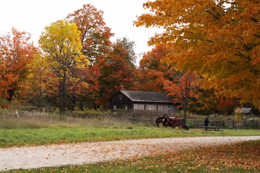 Bronte Creek Provincial Park