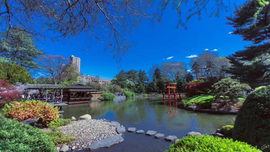 Brooklyn Botanic Garden