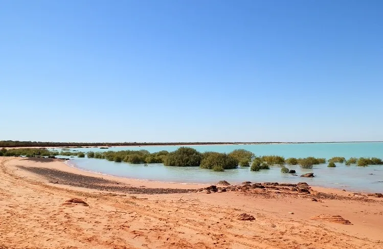 Broome Bird Observatory