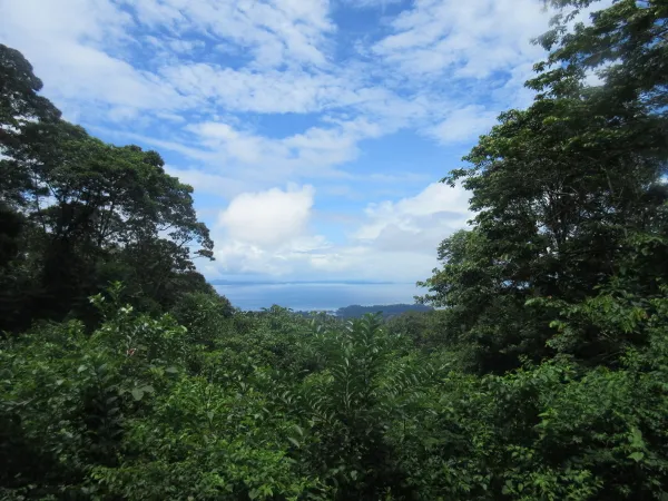 Brownsberg Nature Park