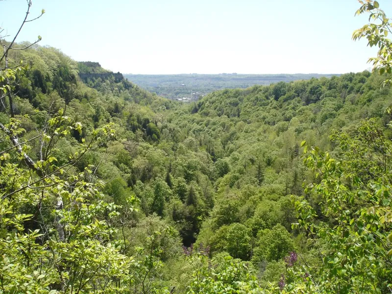 Bruce Trail