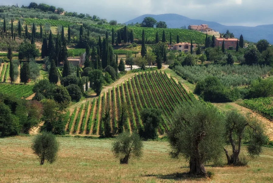Brunello Wine Region