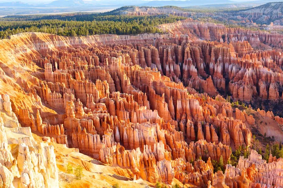 Bryce Canyon Pines