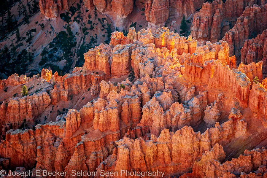Bryce Point