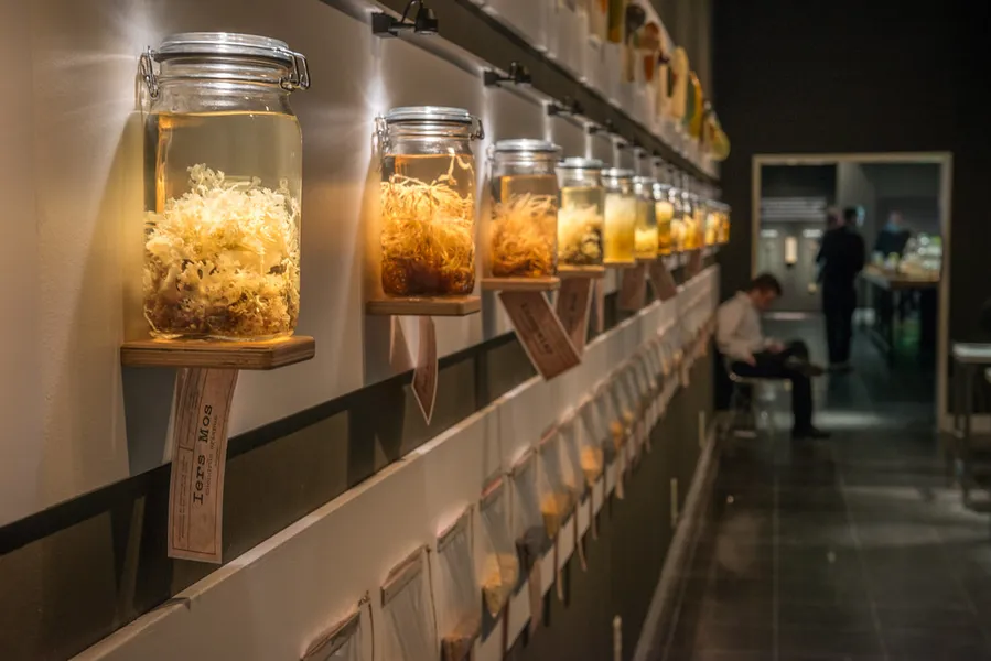 Buan Seaweed Museum