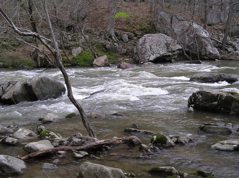 Buck's Pocket State Park