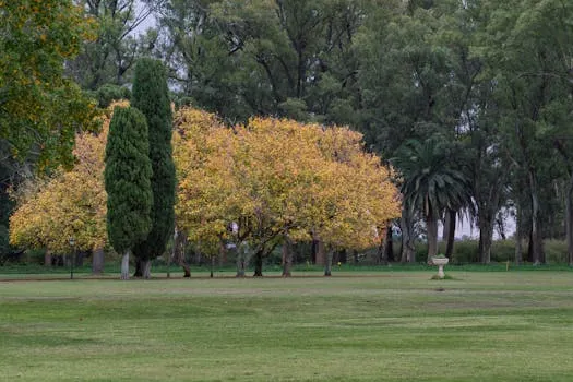 Buenos Aires Eco Park