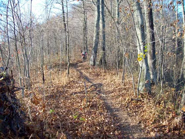 Buffalo Mountain Trail