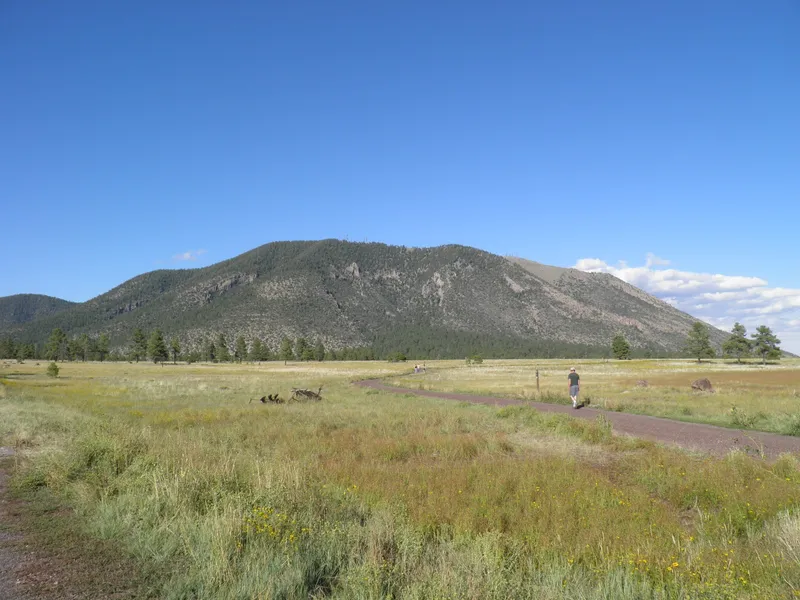 Buffalo Park