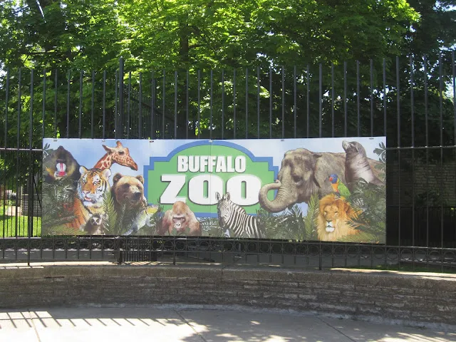 Buffalo Zoo