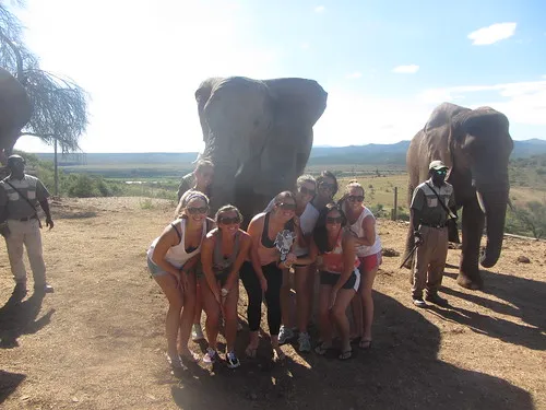 Buffelsdrift Game Lodge